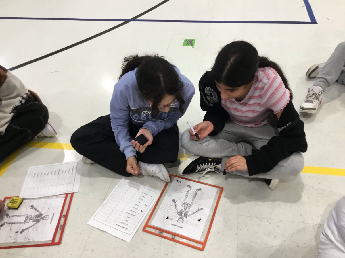Label The Skeleton (Grade 4 and 5)