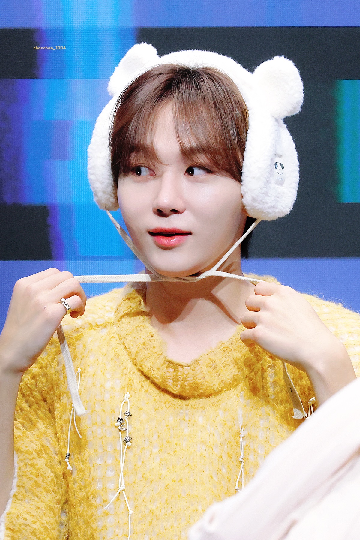 【貴重】 SEVENTEEN スングァン アジュナイス サノク 大人気定番商品 saem the - boo's by スングァンの通販 アクア