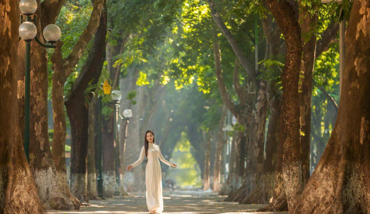 Vietnam Guide Voyage tweet media