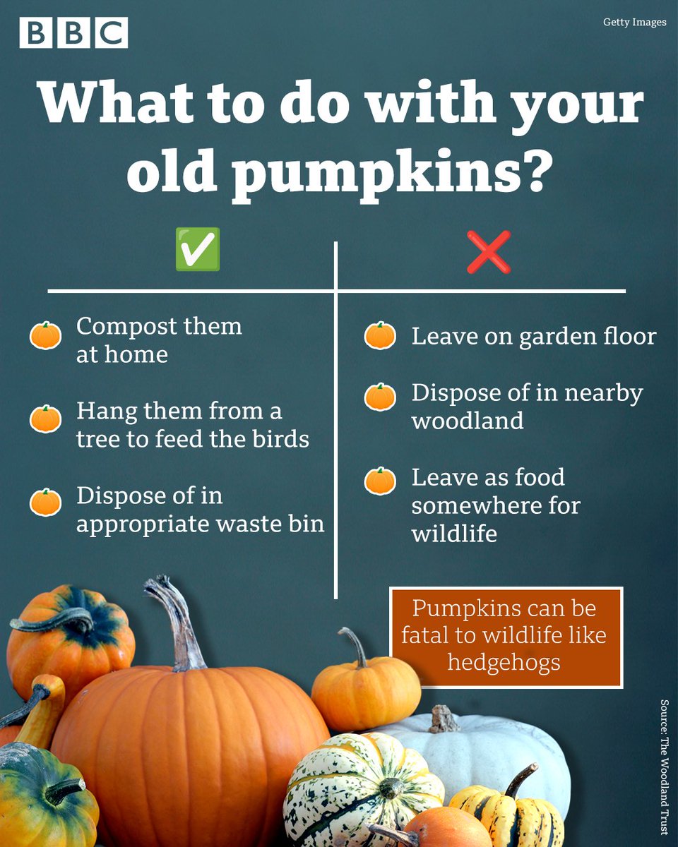 Growing Focal (@growingfocal) on Twitter photo 