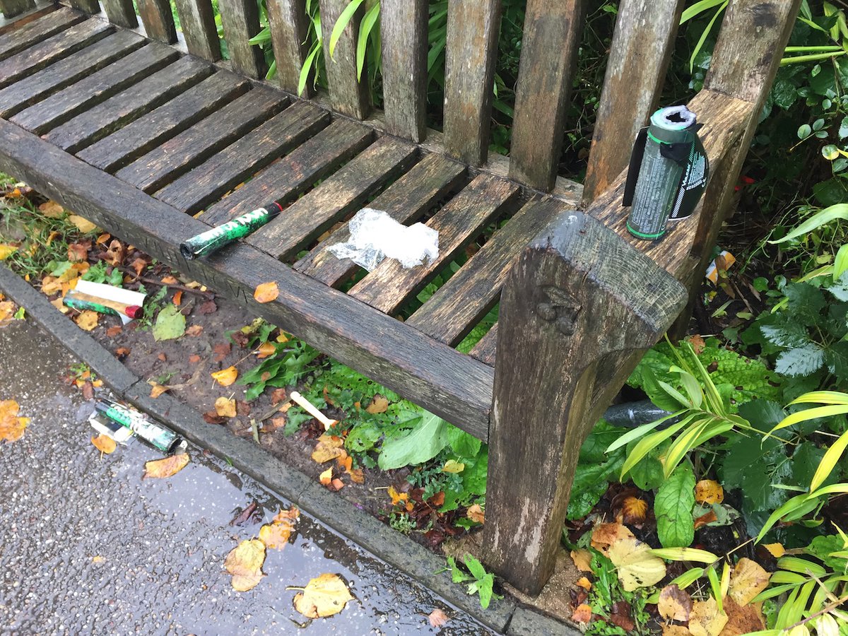 Edgar's Field Park tweet media