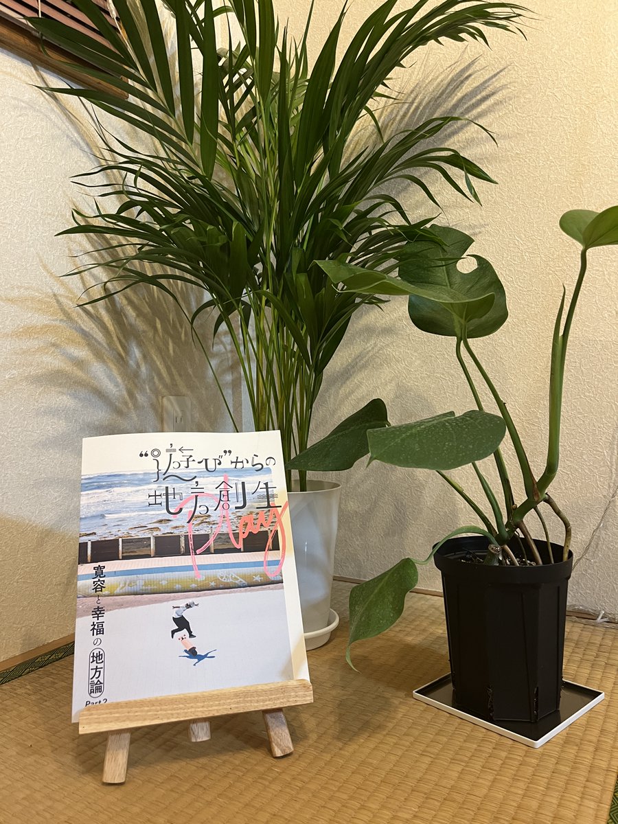chibi_kai0046's tweet photo. おうちにモンステラとアレカヤシをお迎えしました。

緑が空間にあるだけで癒されますね〜 https://t.co/3C1PbMkDdi