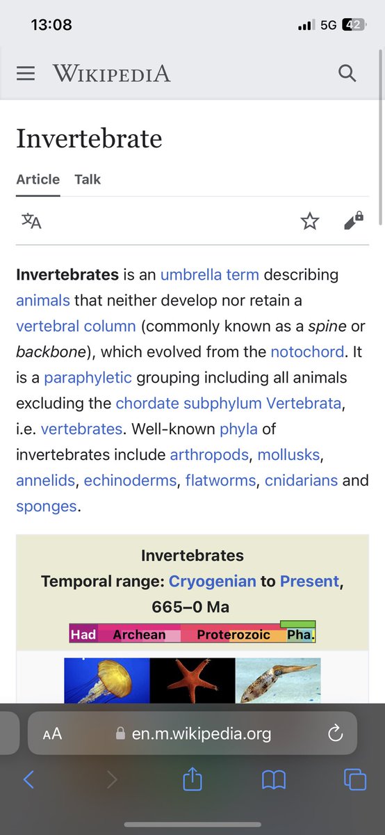 Solveig Óskarsdóttir (@solveigoskarsd) on Twitter photo 