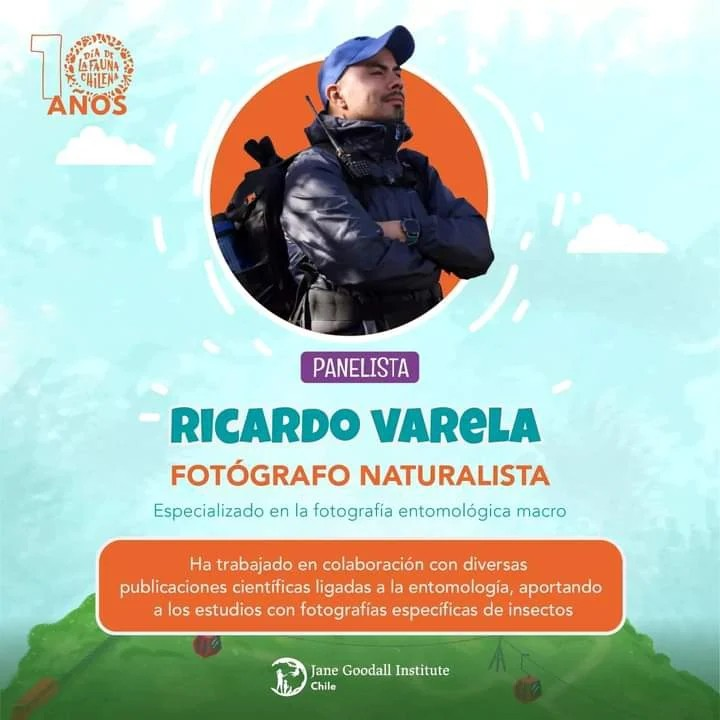 🦋🦩 ¡Más sorpresas para el Día de la Fauna!
Consuelo Pivcevic participará del conversatorio Marcando la diferencia: generando impacto en la naturaleza y las personas, con Carolina Urrutia, Ricardo Varela y Pamela Poo
📍5 de noviembre - 11 am en <a href="/parquemetminvu/">Parquemet</a>