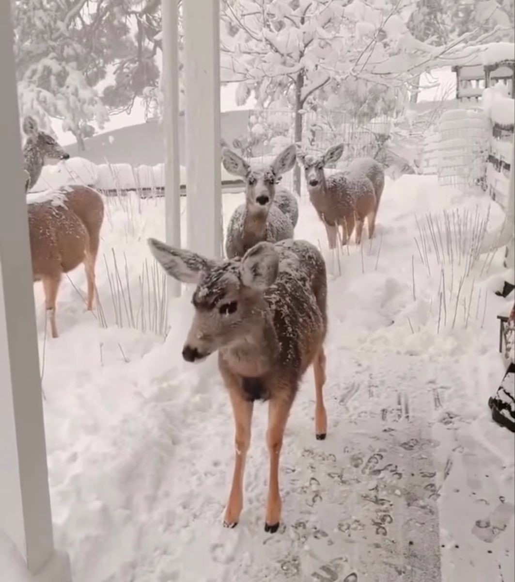 dreamyyarchive's tweet image. 