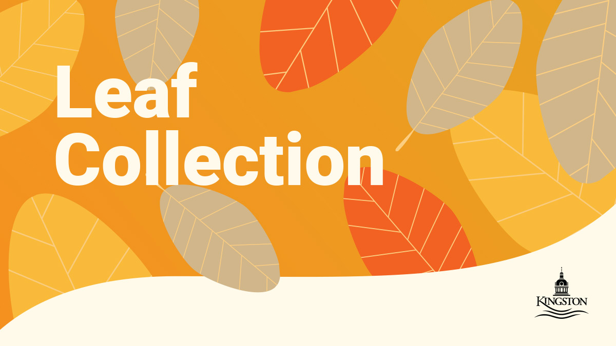 cityofkingston's tweet image. Do you know when to put your leaves out? Collection begins on Nov. 6! Find YOUR leaf collection week here: cityofkingston.ca/resident/garba…
