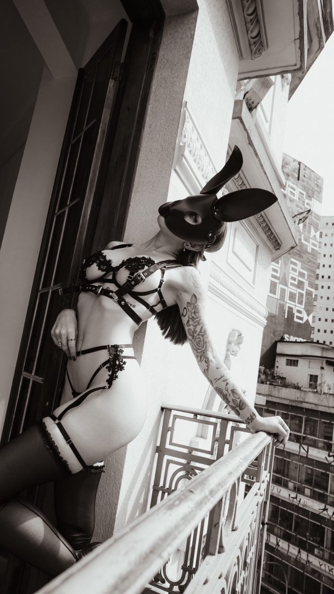 talitatrix's tweet photo. The rabbit with a bad reputation. https://t.co/WQ5qSLSs4X