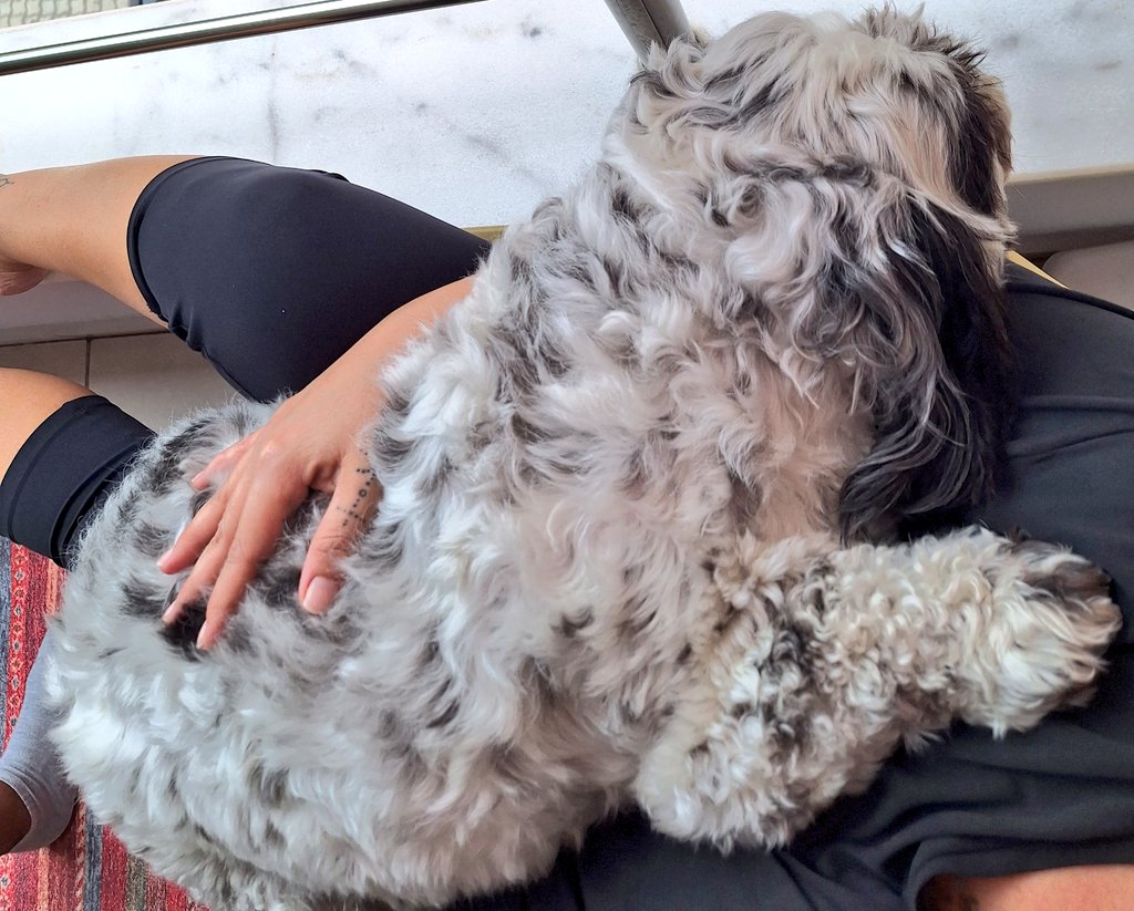 The most comfortable place is mother's lap
😴😍