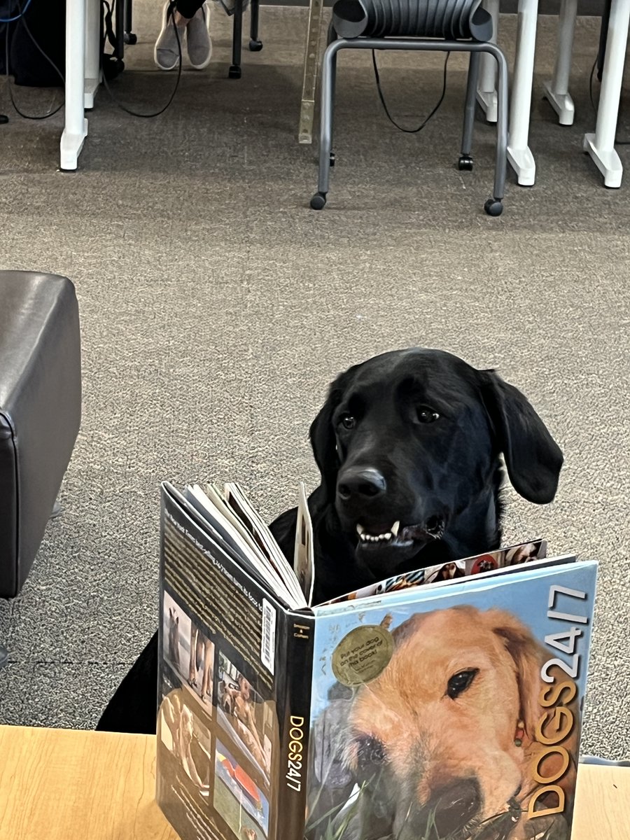 HSW Library tweet media