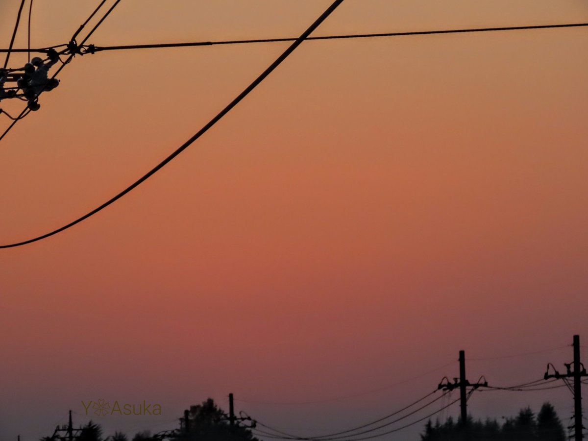 yumeasutw's tweet photo. 魔法のような夕焼け空🟧

お疲れ様です🏁
穏やかな日の入りの頃🌇
霞がかっ��西の空が
パステルオレンジに染まりました💛

東の彼方はうっすらと桃色に💗

#空の名前
#天気の図鑑
#気象のはなし
#マジックアワー #sunset
#夕空 #夕焼け #鉄塔 #電柱 #電線
#ビーナスベルト
#a2023  #a1102 #a202311 https://t.co/B6C1Nqmopj