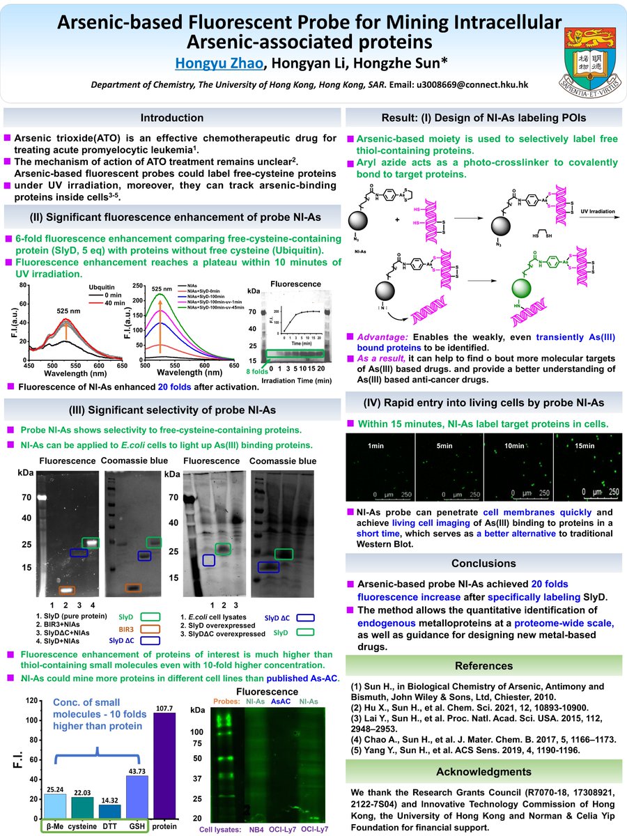 Nicola_jrogers's tweet photo. Hongyu Zhao, HKU, Poster on Fluorescent probes for arsenic-associated proteins, from Hongzhe Sun's Lab @InorgChem4Life
#IC4LPoster
u3008669@connect.hku.hk https://t.co/mpGEmdjT2E