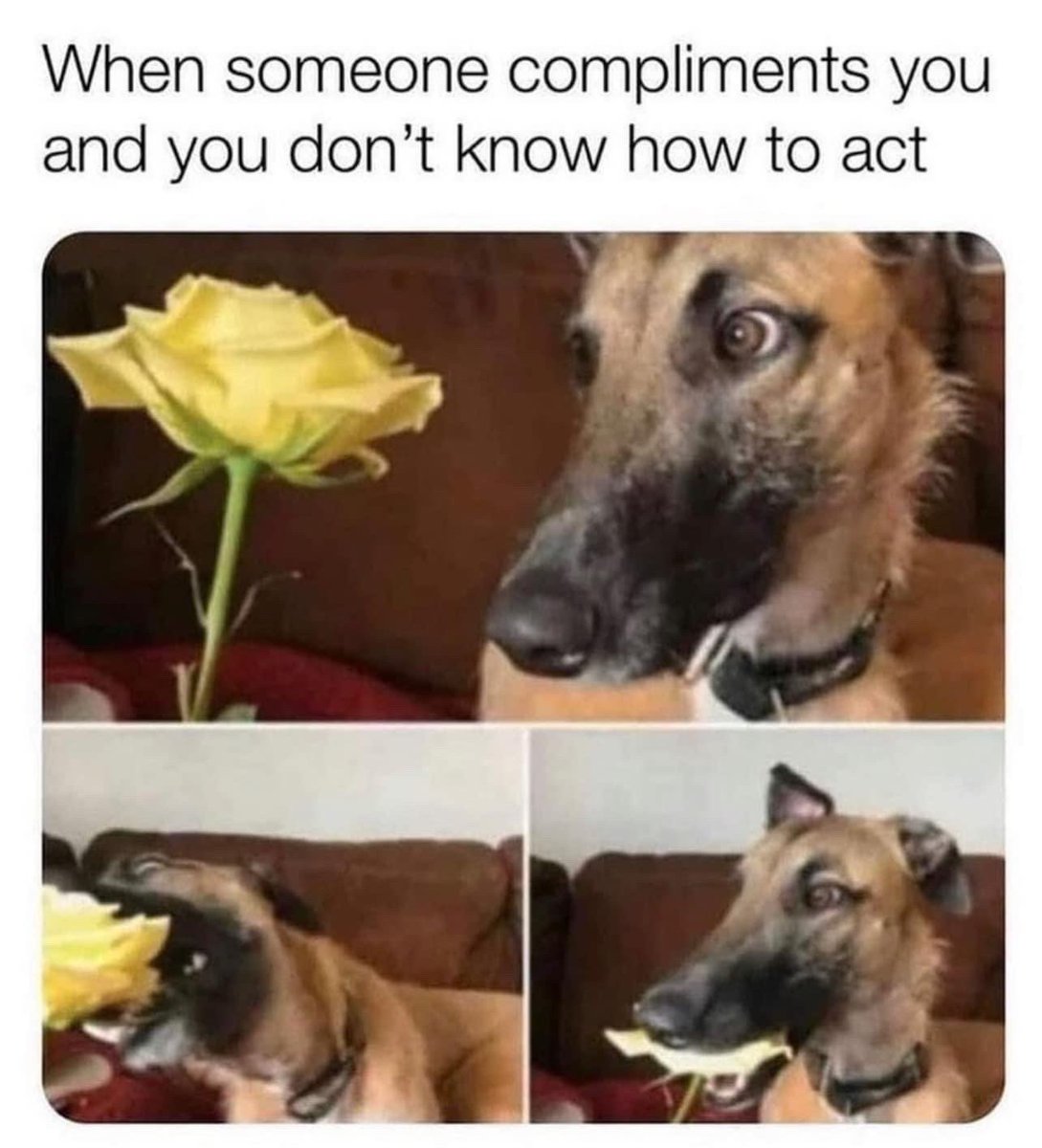 WholesomeMeme's tweet photo. https://t.co/KyBoBaAx44
