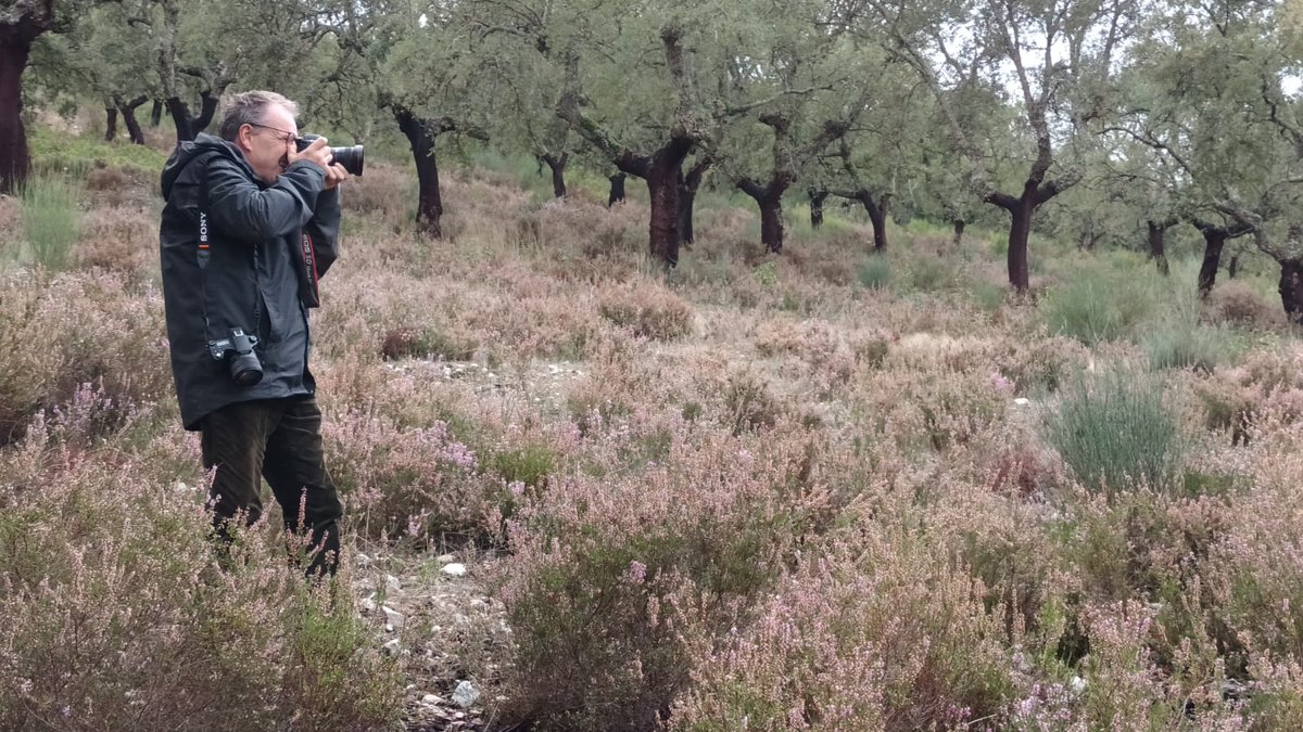 El viaje de <a href="/ThomasKrumenac1/">Thomas Krumenacker</a> a Extremadura ha sido organizado por el Club <a href="/birdextremadura/">BIRDING IN EXTREMADURA</a> en colaboración con la Oficina de Turespaña en Múnich 🇩🇪 

Palacio Viejo de Las Corchuelas, Photo Raptors, Ecoturex y @Wildrootsextre, socios del club, también han colaborado en esta acción
