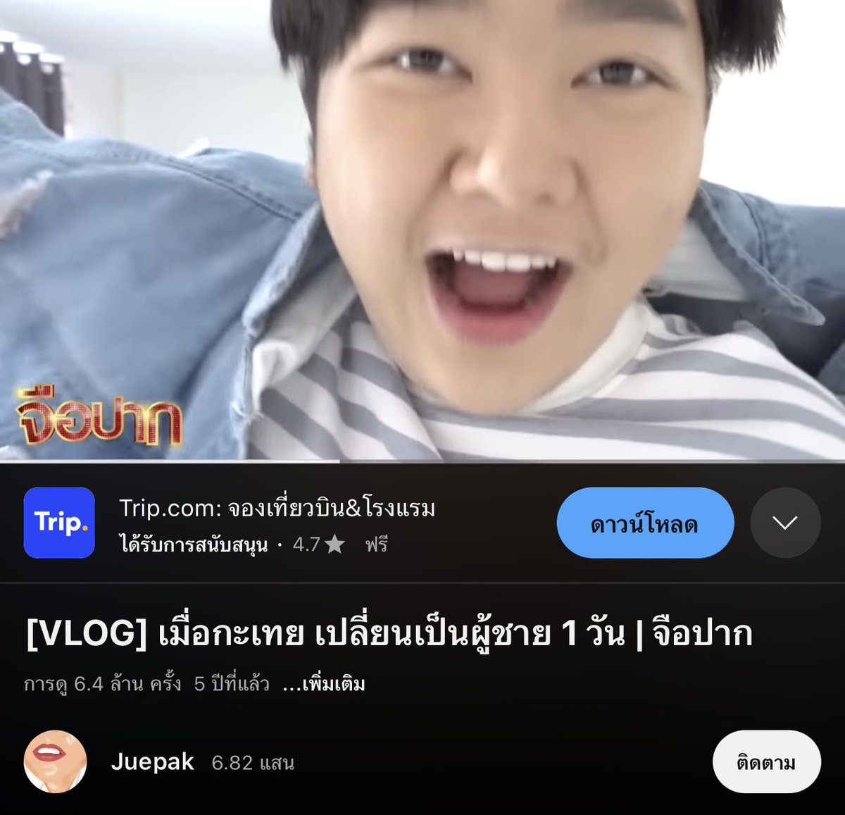 🐻 tweet media