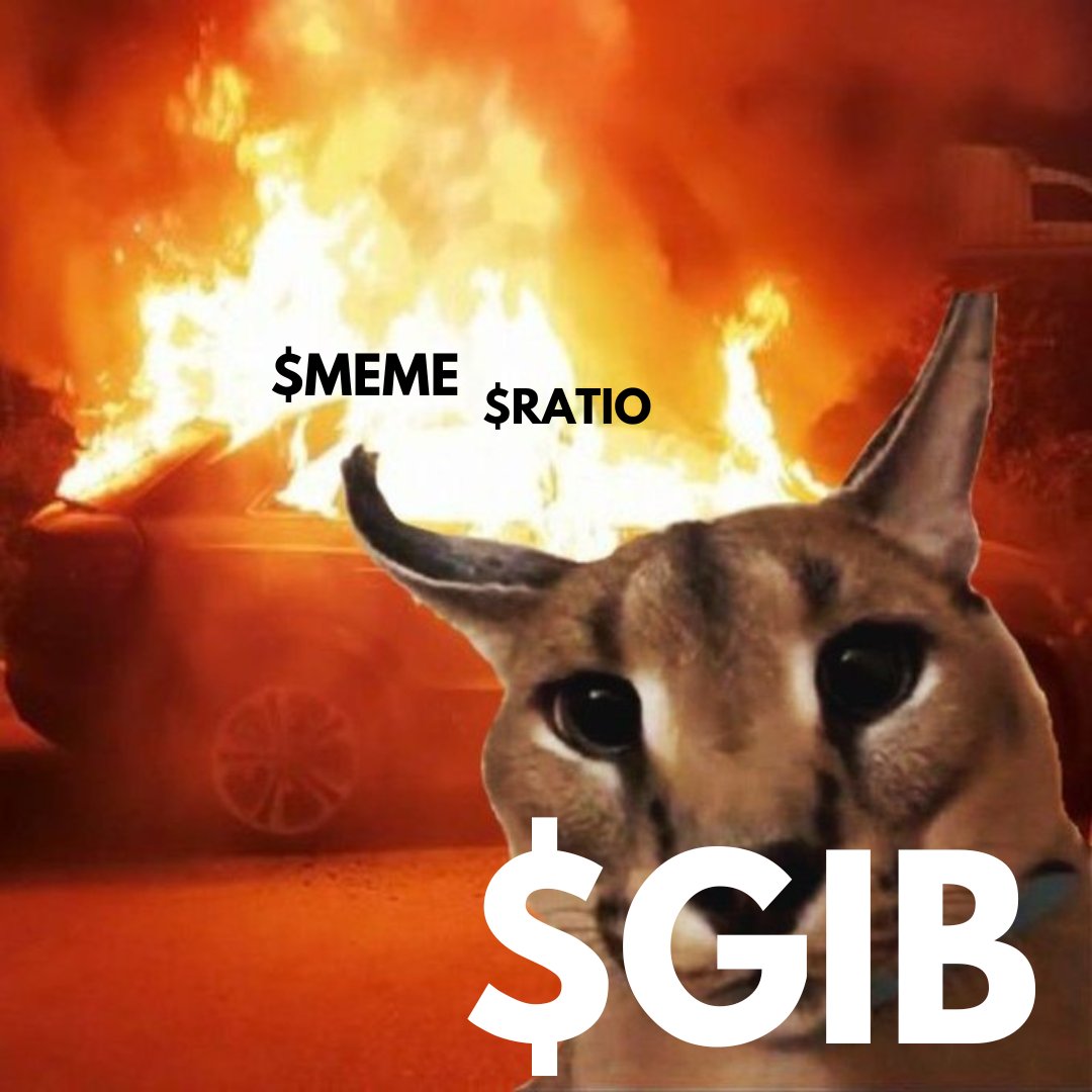 MF🧙♂️ tweet media