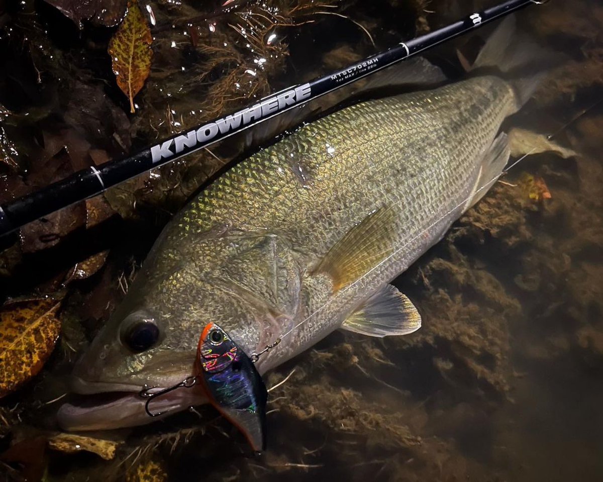 メソッドタックルシンジケート　MTSC-702MH KNOWHERE METHOD TACKLE SYNDICATE KNOWHERE MTSC-702MH - 【Bass Trout Salt