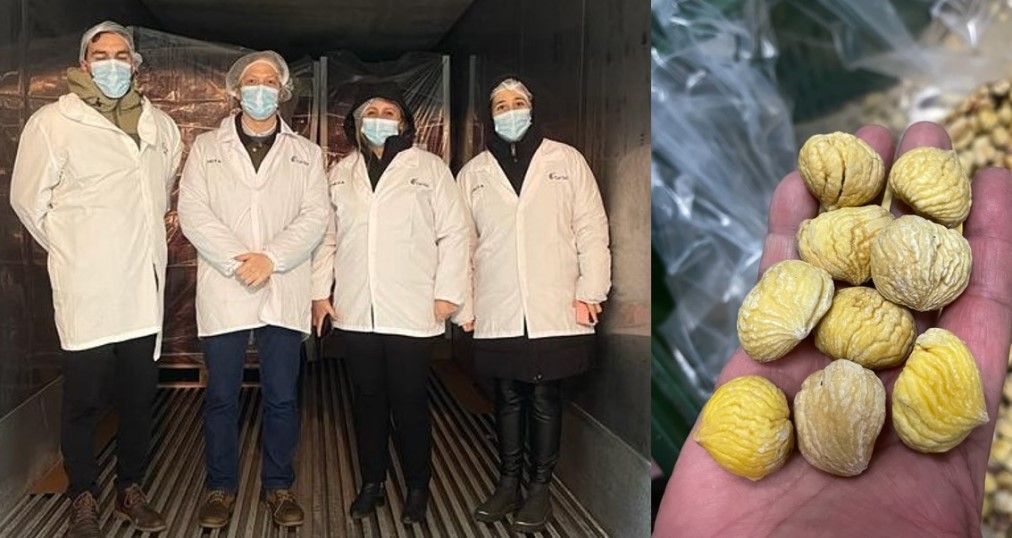 🌎✈️Imagina el crujir de una castaña chilena, y el aroma de la pastelería turca. Ahora, une esos mundos en un abrazo sabroso.

Conoce la gran historia de la primera primera exportación de castañas  marrones de Ñuble a Turquía bit.ly/40gNZKl  🌰🇨🇱