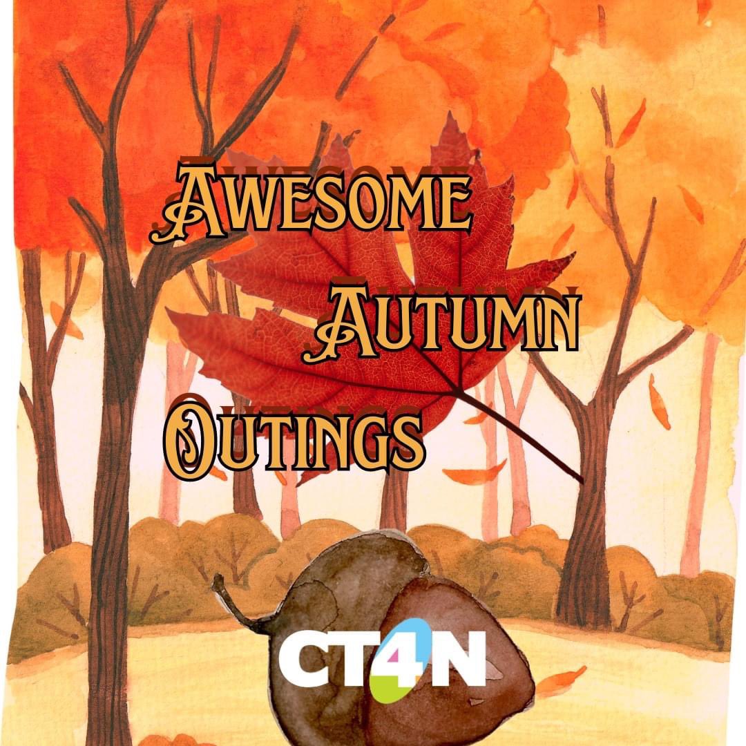 Ct4nTrust's tweet photo. We're halfway through our Awesome Autumn Outings, but there's still lots more fun to be had! 

Running until November 25th, these trips run Monday to Friday, leaving at 9:30 and returning by 14:30. https://t.co/GH6GciHJDl