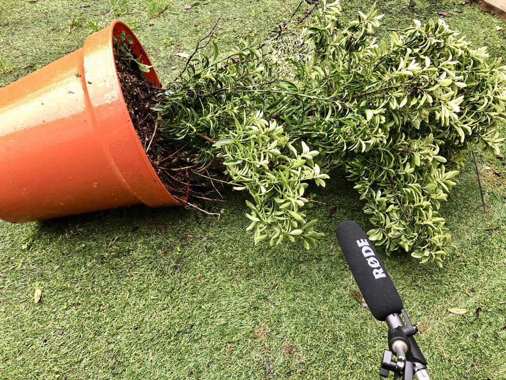 Right place, right time!
My trusty Rode NTG and I managed to capture the full force of Storm Ciarán.
#soundrecording #extreme