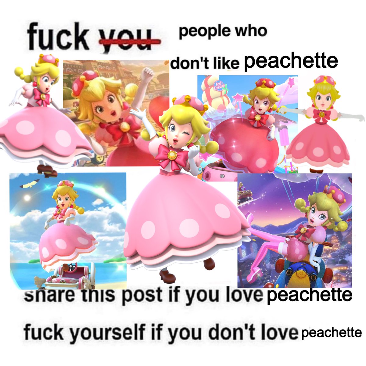 kinopeachette's tweet photo. in this house we do not tolerate peachette slander https://t.co/TC006IQm73