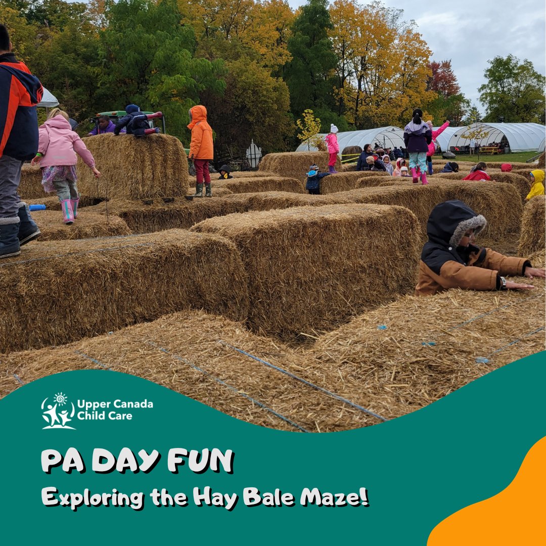 UCCCChildCare's tweet image. Did you know that our Before and After School Groups go on a PA Day trip during the school year and once during March Break? Yes, and at no extra cost!

Learn more about our Before and After School Programs here: uppercanadachildcare.com/our-programs/b…
#UpperCanadaChildCare #PADay #ECEMatters