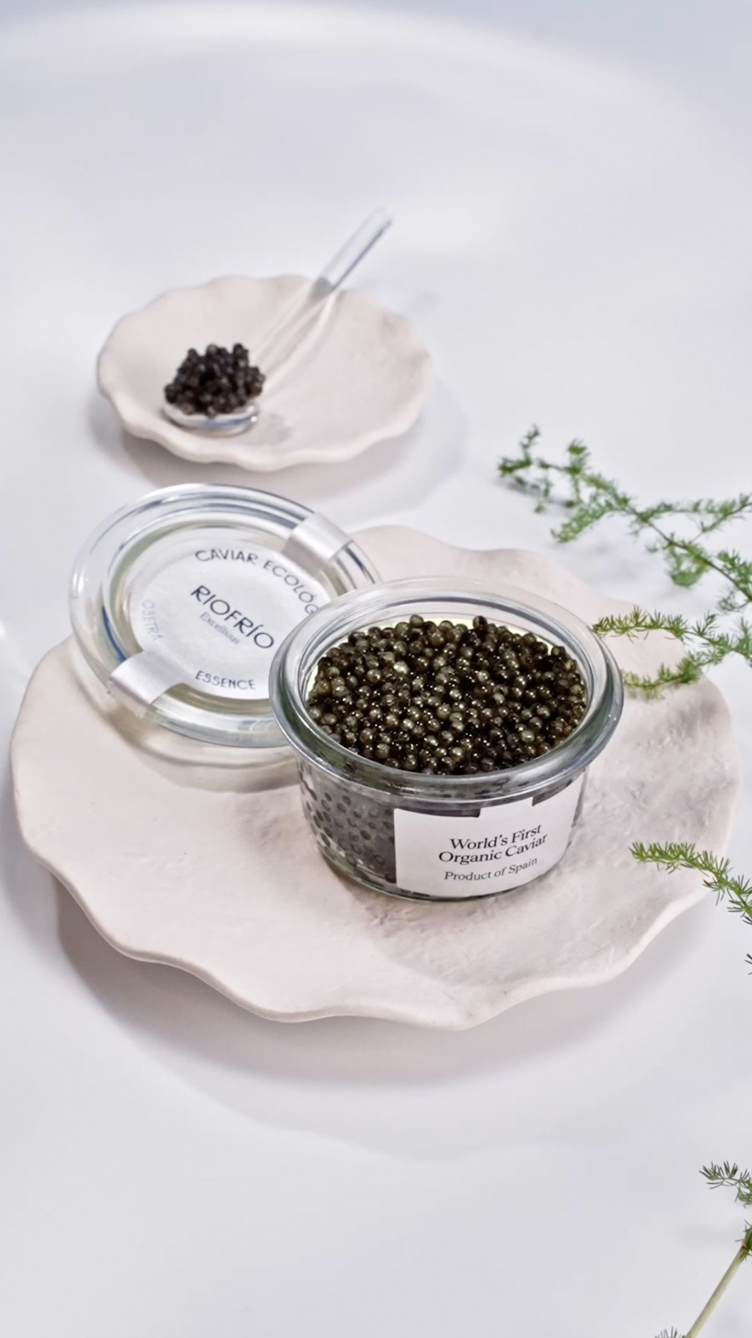 Caviar ecológico RIOFRÍO ESSENCE 30g