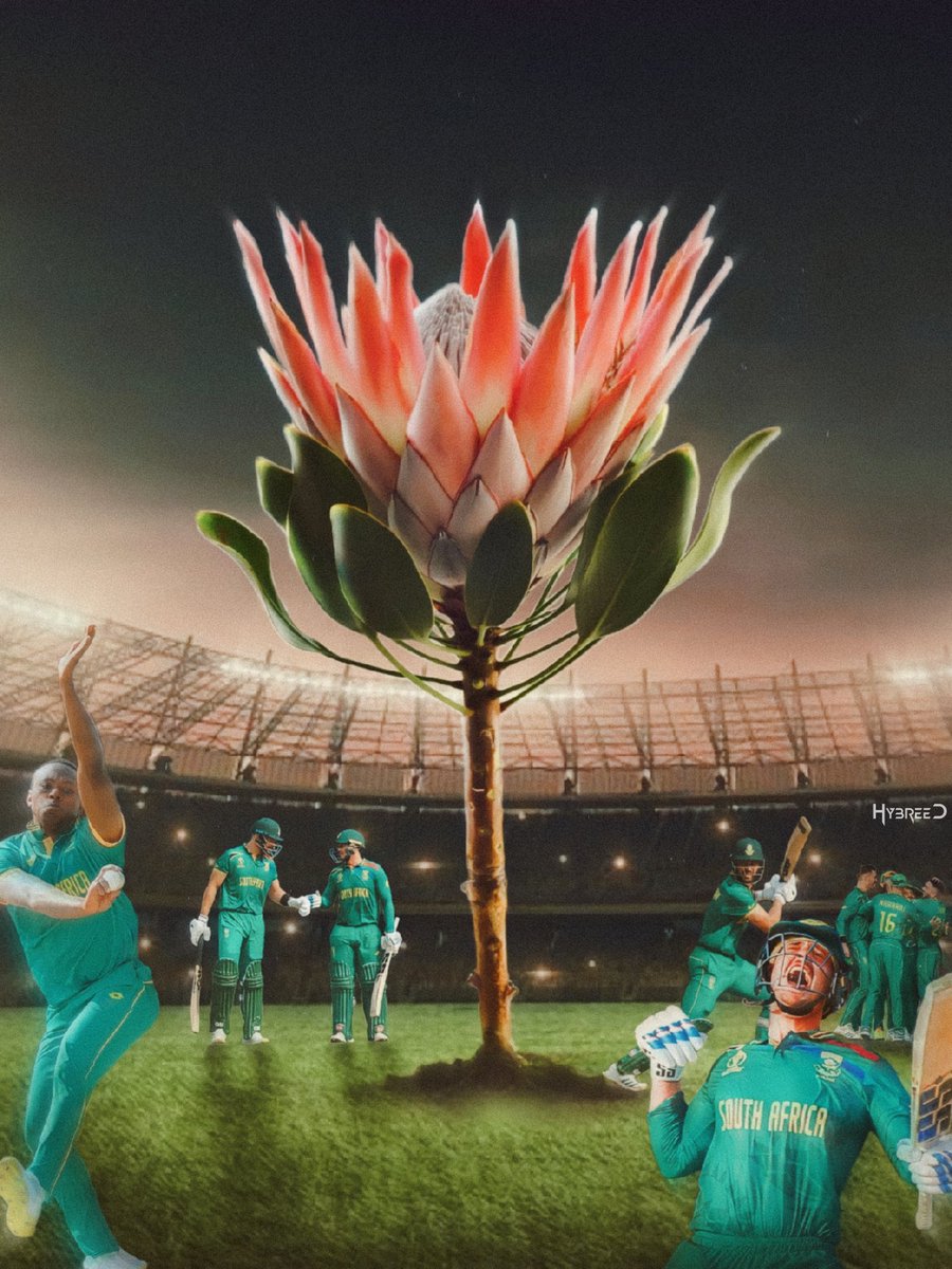 Proteas appreciation tweet 🇿🇦🇿🇦🇿🇦