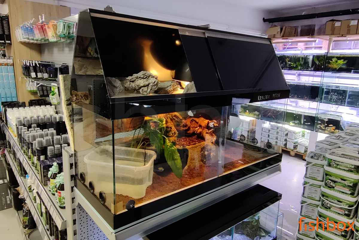fishbox_si's tweet photo. Terarijska "hišica" s prostornim podstrešjem za opremo. 😎 V našem steklarstvu naredimo "po naročilu - po meri". 😉
👉 https://t.co/QifdWtJyq5 https://t.co/Y2KyddYezj