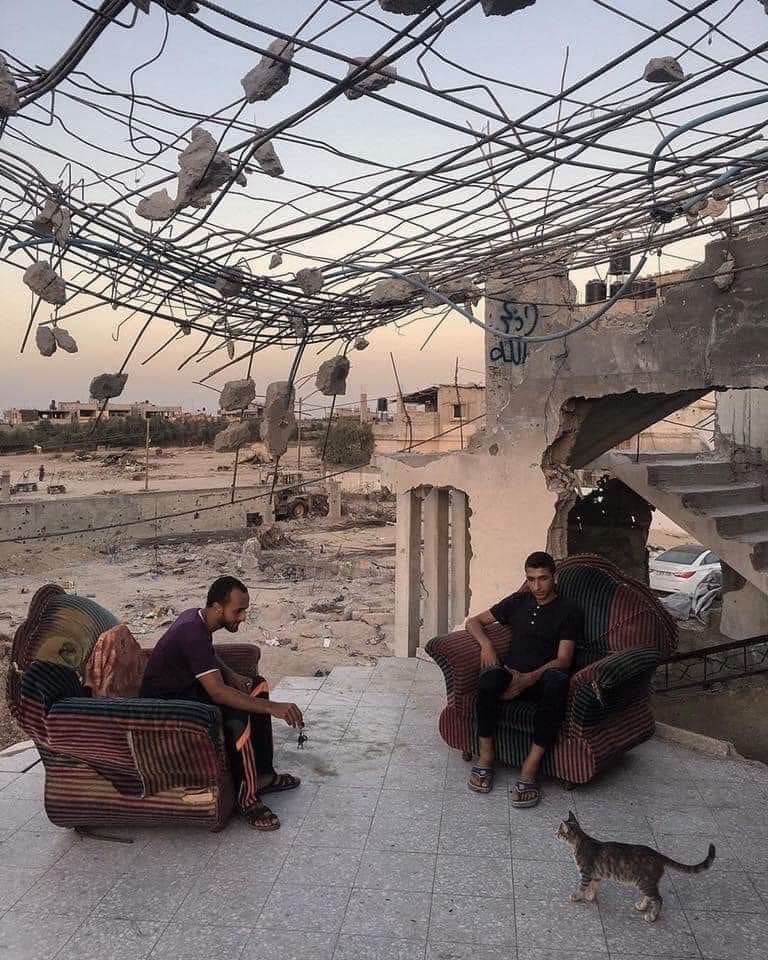 ♥️🥹

#Palestine #IsraelTerorrist #غزة_تستغيث #Gaza #فلسطين_الان