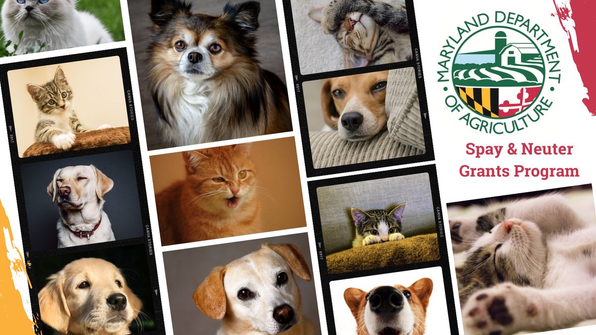 News Release 📰: Maryland Department of Agriculture Distributes Spay and Neuter Grant Funding

More: bit.ly/40C0noB