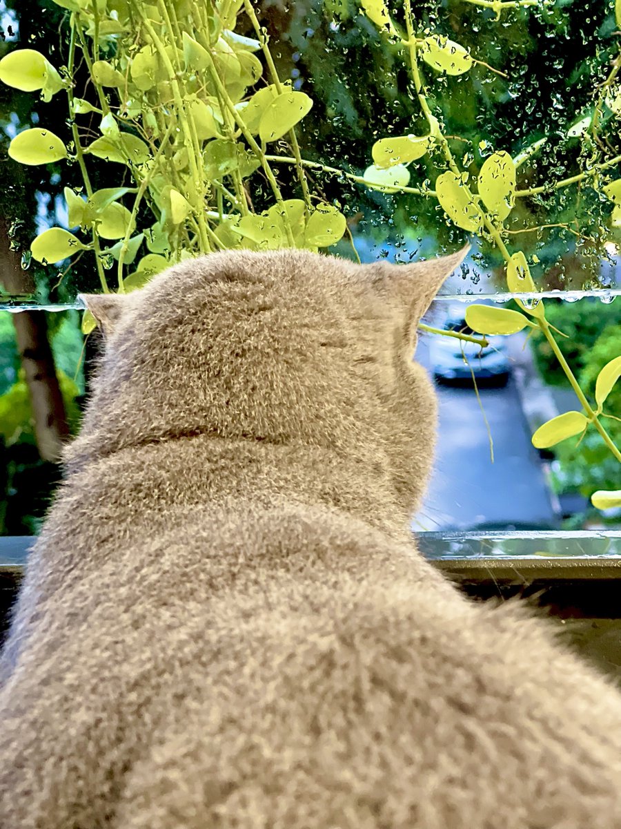 FL tương tác nha ae!
SỰ THÀNH ĐẠT  so với   NIỀM HẠNH PHÚC
CỦA CẢI                        LÒNG CHIA SẺ
THÀNH QUẢ                 SỰ CỐNG HIẾN
ĐỊA VỊ                            MỐI QUAN HỆ
* M.n nghĩ sao về những dòng chữ được viết ở trên này?
#cat #CheoX