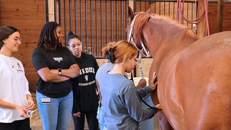 .@INSIGHT_News has awarded @pucvm with the Health Professions Higher Education Excellence in Diversity Award for the fourth year in a row, underscoring the college’s outstanding commitment to diversity and inclusion. purdue.university/49b6AeZ