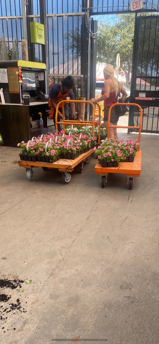Gary Murphy (@gary_pbf) on Twitter photo HD6314 Stuart
Loving this picture of a #HappyCustomer, Fresh delivered #Vinca. Exactly what she was looking for. <a href="/wachitgrow/">Alex โ Navarro</a> <a href="/bjryan3/">bj ryan</a> <a href="/PureBeautyfarm/">Pure Beauty Farms</a> HD6314 Stuart
Loving this picture of a #HappyCustomer, Fresh delivered #Vinca. Exactly what she was looking for. <a href="/wachitgrow/">Alex โ Navarro</a> <a href="/bjryan3/">bj ryan</a> <a href="/PureBeautyfarm/">Pure Beauty Farms</a>