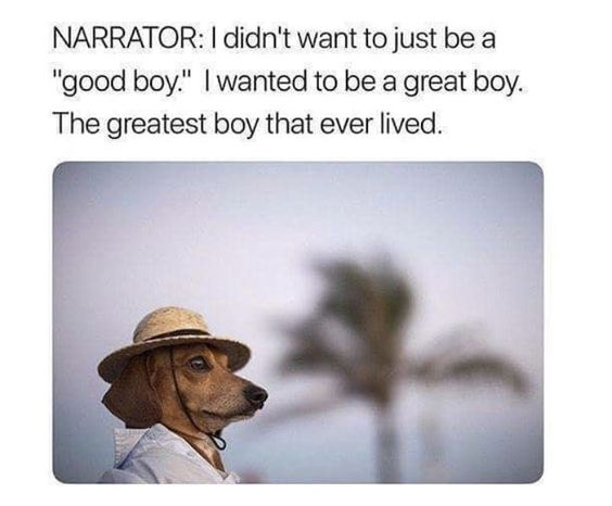 WholesomeMeme's tweet photo. https://t.co/onyX6fiLxB