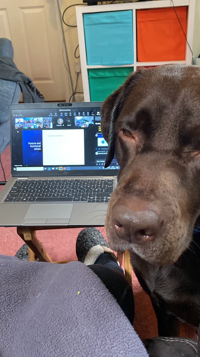Storm Ciaran has had some benefits! MSK study day with the hound! <a href="/PhysioKVB/">Komal</a> <a href="/jamesgay1986/">James Gay</a> <a href="/PhysioStrain/">Justin Strain Physio</a>