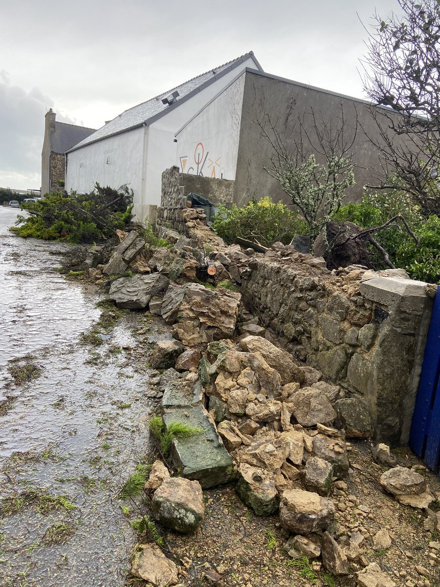 Les stigmates de #ciaran à Ouessant. Des vents à 185 km/h, des arbres par terre, des maisons qui tremblent de partout mais solides comme des rocs. #Finistere #Ciaran #TempeteCiaran