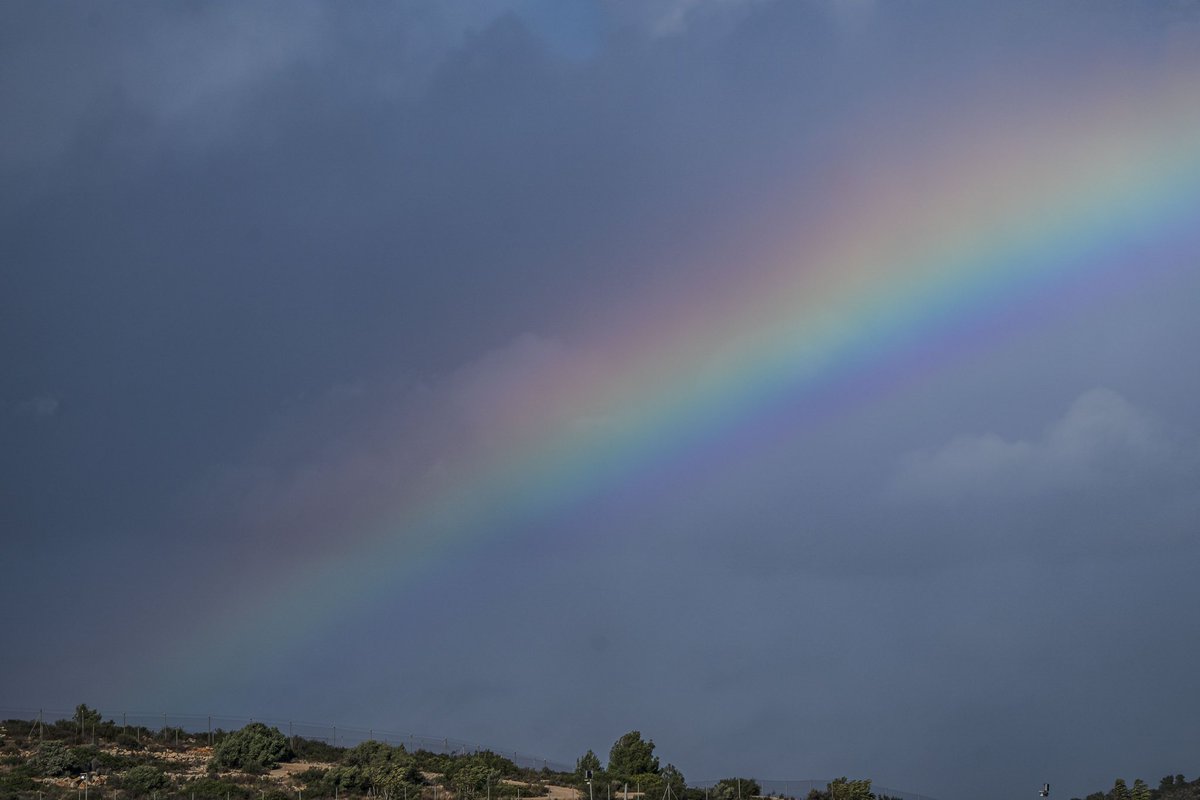 Hoy hace mucho viento en el <a href="/CircuitValencia/">Circuit Ricardo Tormo</a> y la actividad en pista se ha visto afectada. ¡Seguiremos pendientes de la meteorología! 💨