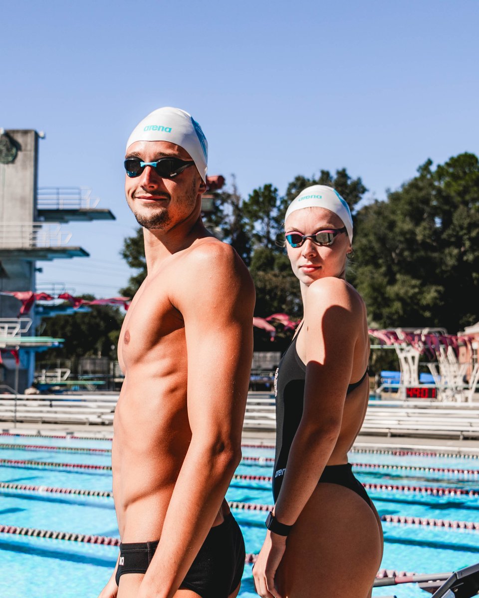 FSU Swimming/Diving tweet media
