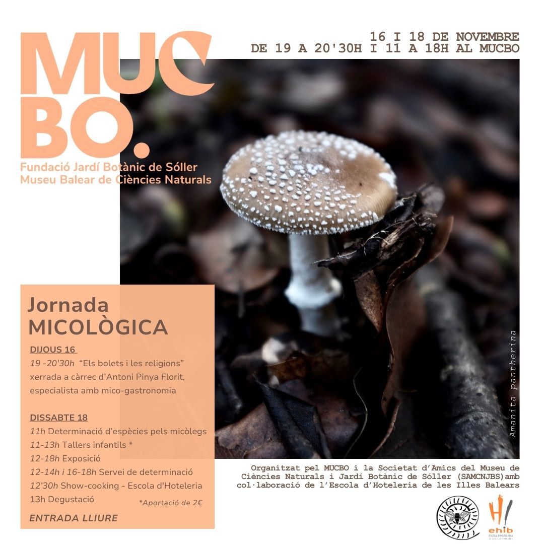 EHIB (@ehib1) on Twitter photo 