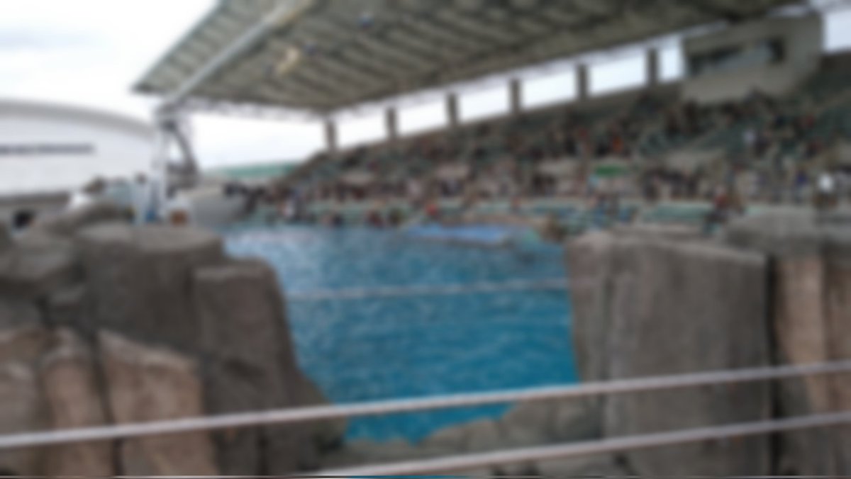 そういえばこの前名古屋港水族館行きました #さくねっと の呟き