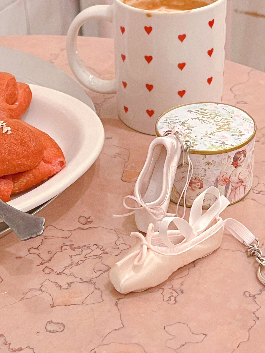 🎀주말에 업데이트 될 토슈즈들 🩰