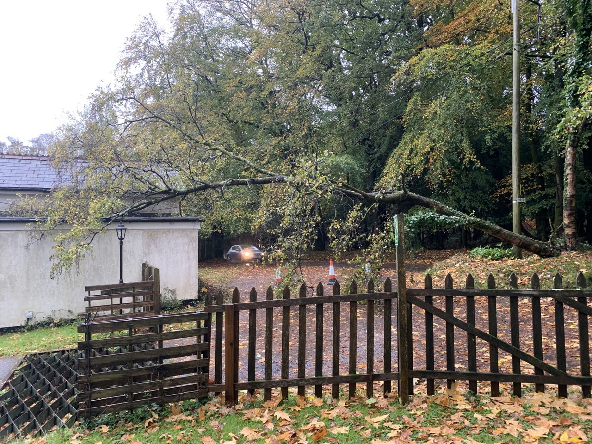 DomSrStJoseph's tweet image. Please take care if you are coming to the Priory.  A tree has fallen over and is blocking one side of the entrance.  It'll be hard to see in the dark.  Drive safe #StormCiarán #convent #op #prayer #Catholic