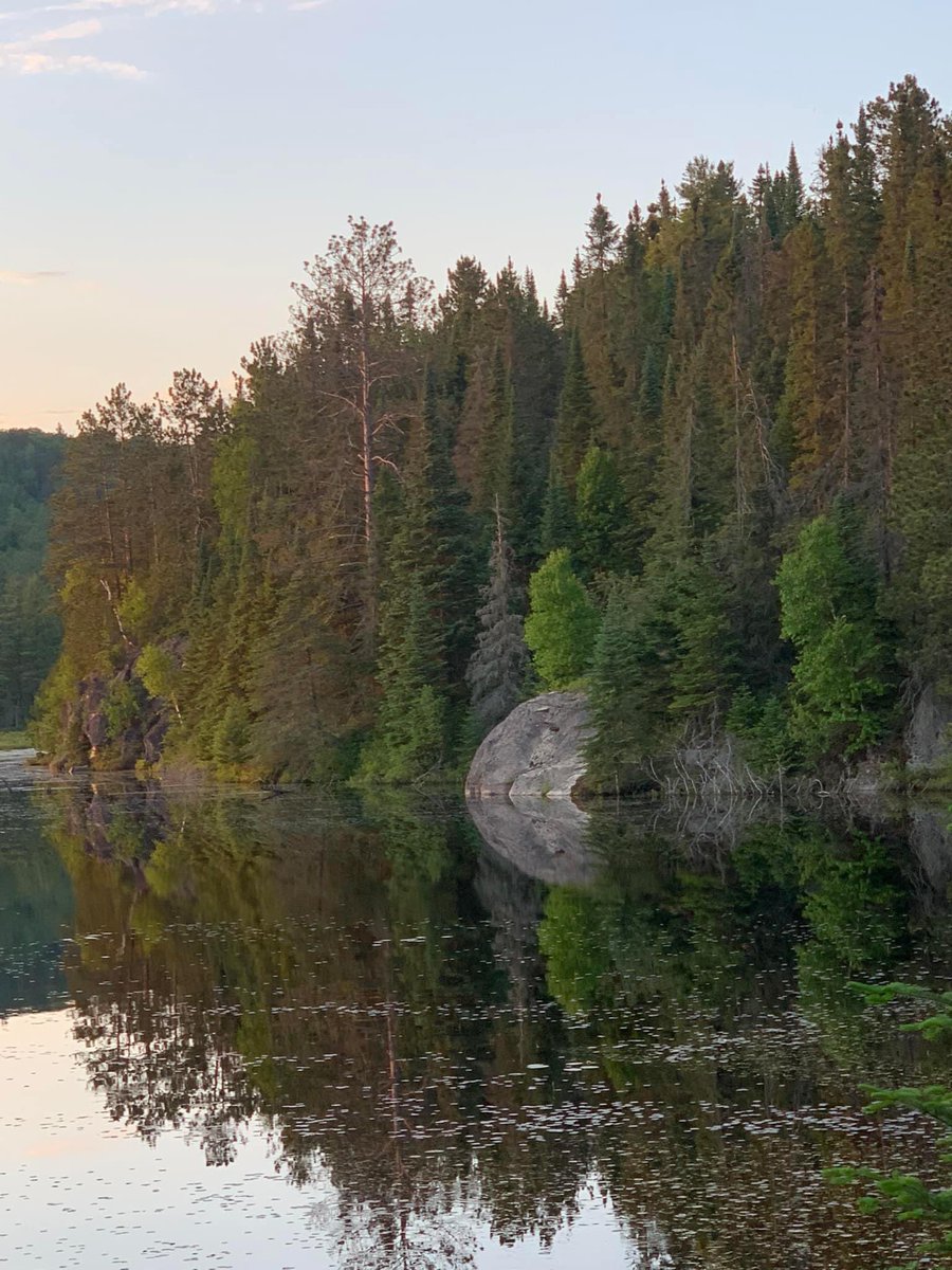 MooreAdventures tweet media