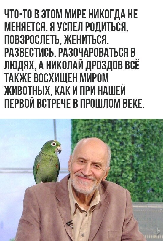 RuPol555's tweet image. Легенды нашего ТВ: Николай Николаевич Дроздов
.
•
°
#Дроздов #легенды #ТВ #телевидение #животные #природа #СССР #история #Россия