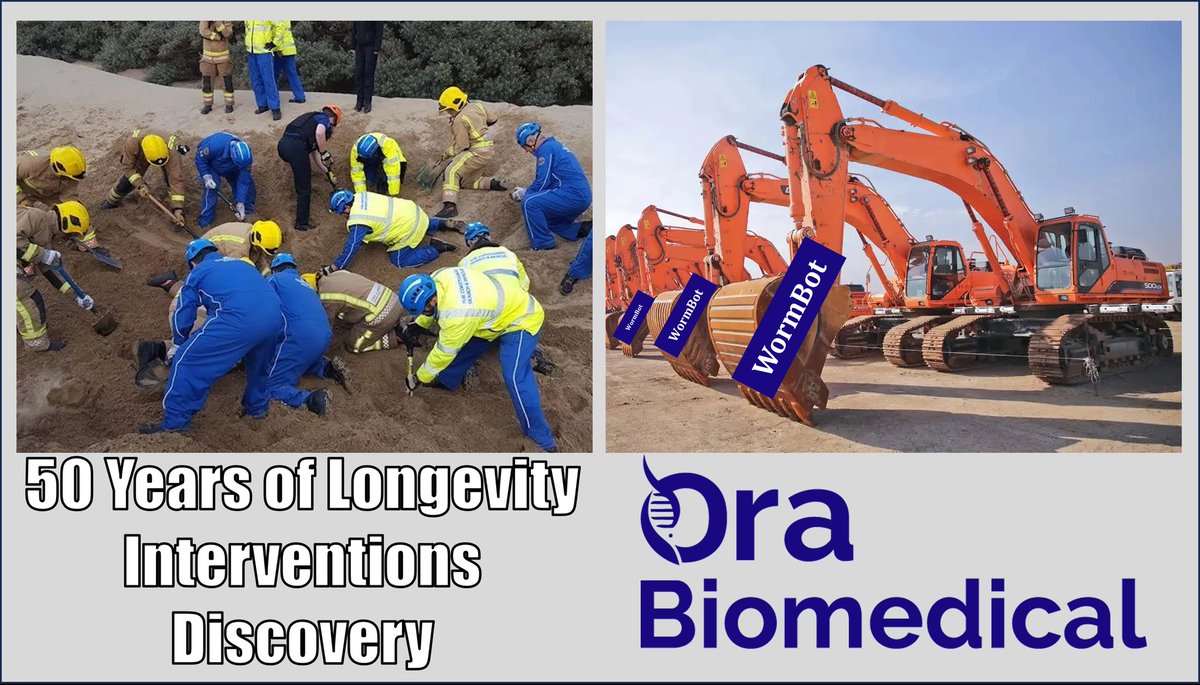 mitchellblee33's tweet image. It&apos;s time to get serious about identifying the very best longevity therapeutics. 

@OraBiomedical
@mkaeberlein
@benblueAK
@BKennedy_aging

#millionmoleculechallenge 
#wormbot