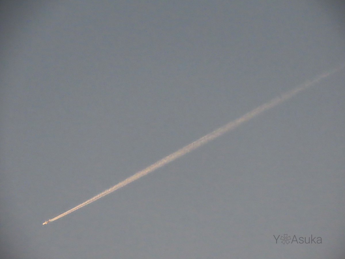 yumeasutw's tweet photo. #飛行機雲 もオレンジに🟧
      ✈️
／
次々と連なって
ソウルを目指す #飛行機 が
夕日に照らされ
オレンジ色に染まる
飛行機雲を棚引かせ空の彼方へ

#大韓航空
#アシアナ航空
#エアバス #A350_941
#空の名前
#天気の図鑑 #雲の超図鑑
#気象のはなし
#人為起源雲
#夕空
#a2023  #a1102 #a202311 https://t.co/Z5lBQa6Vqf