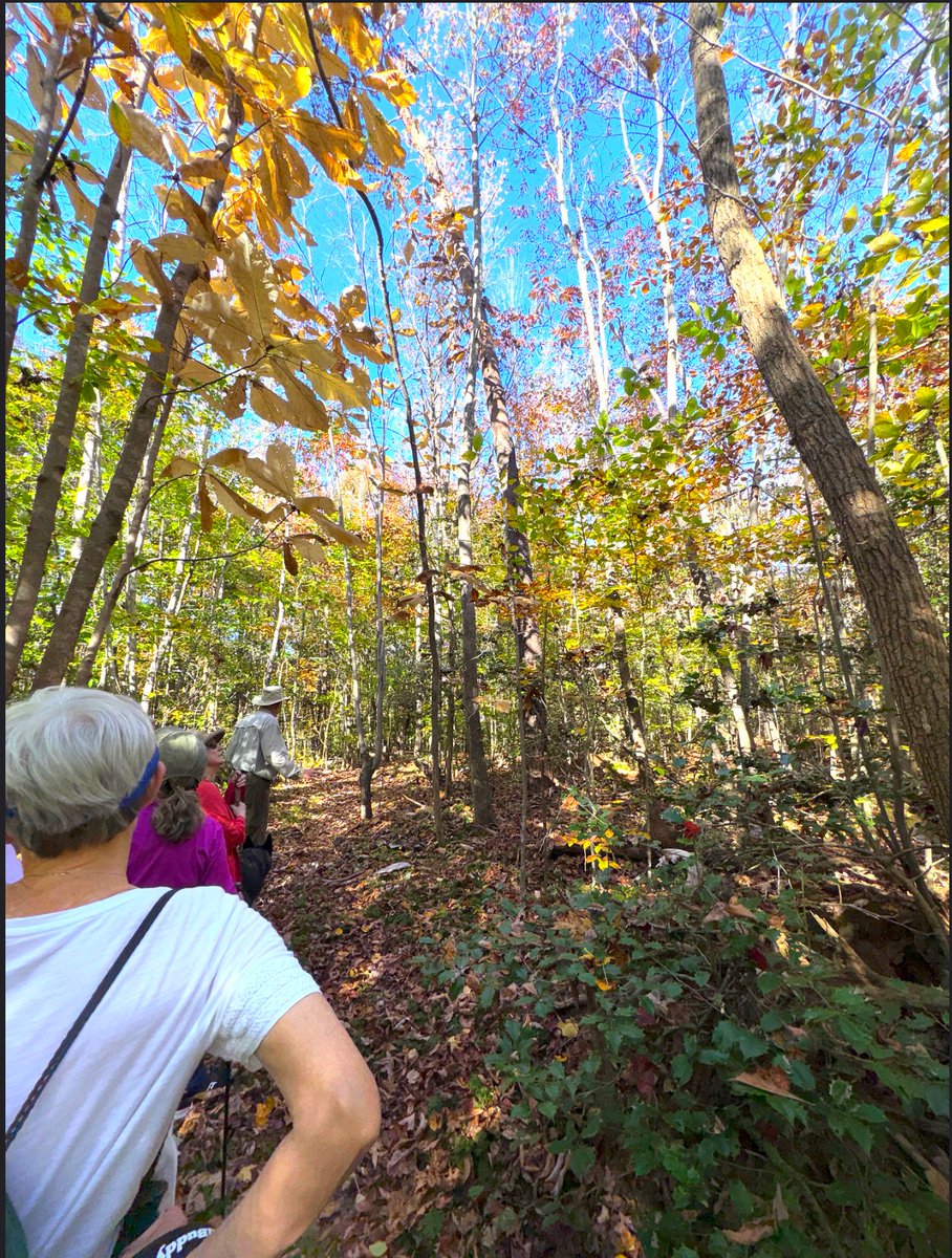 Davidson Lands Conservancy tweet media