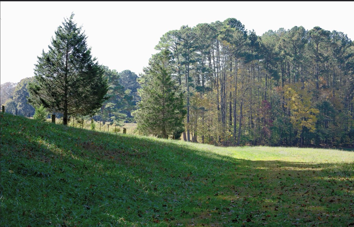 Davidson Lands Conservancy tweet media