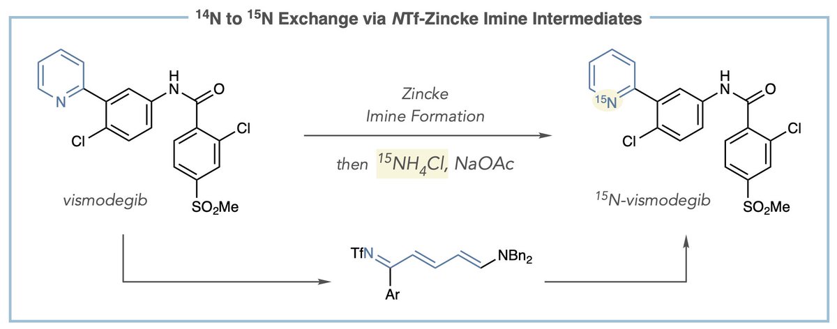 15N Incorporation into pyridines via NTf-Zincke imine intermediates now on @ChemRxiv . Congrats to Hillary, David, Marie, Kaila, and Jeff from my lab: tinyurl.com/ytbh3nem See related work from @SarpongGroup @Sigman_Lab/ Smith/Feuillastre-Audisio