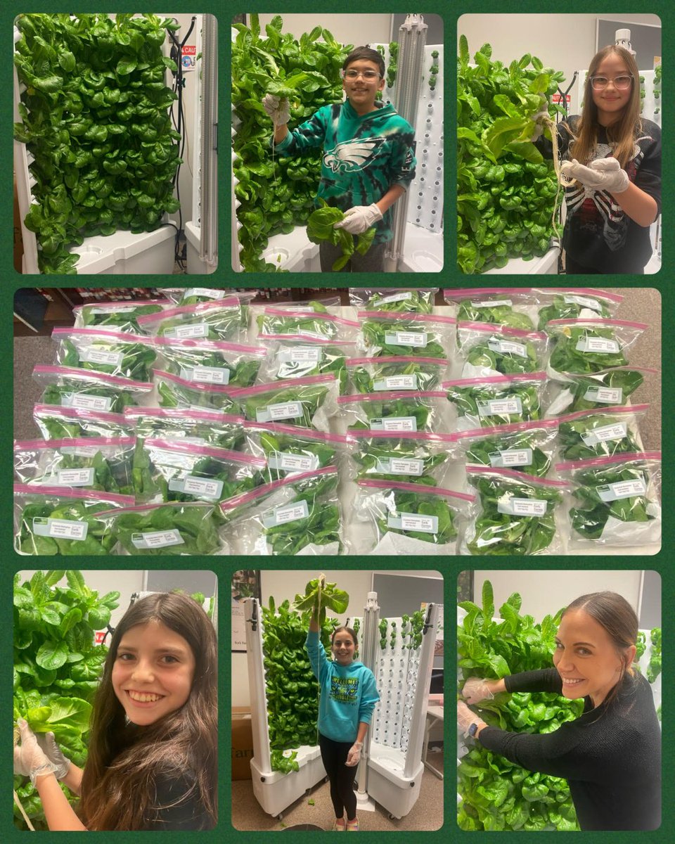 🥬Check out what's growing at our middle schools! This is the first harvest from the new Fork Farms located at SMS and OMS. These indoor gardens were purchased with a grant from the Parkland Education Foundation and students are growing food to donate to our local food banks! 🥬